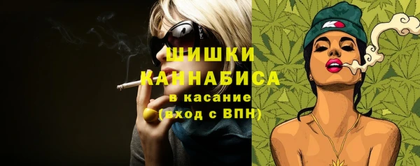 сатива Армянск