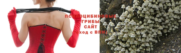 сатива Армянск