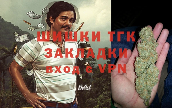 эйфоретик Аркадак