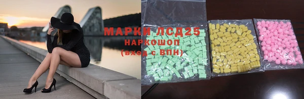 эйфоретик Аркадак