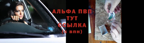 сатива Армянск
