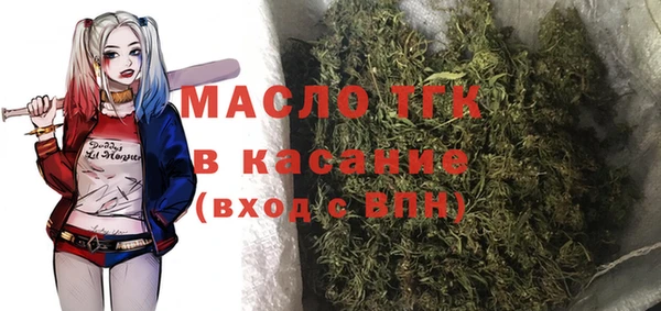 сатива Армянск