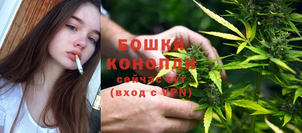 сатива Армянск