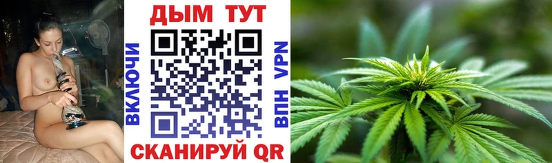 Бошки Шишки SATIVA & INDICA  Иннополис 